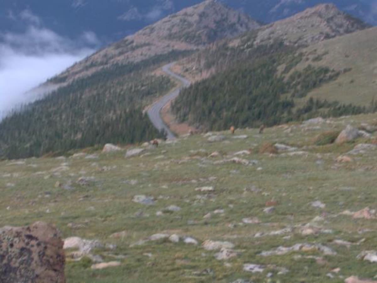 Parque Nacional de las Montañas Rocosas
