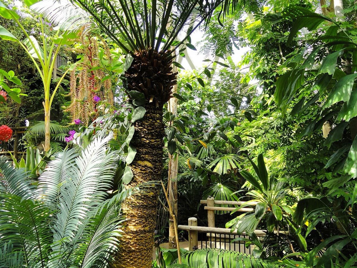 Jardines Botánicos de Denver