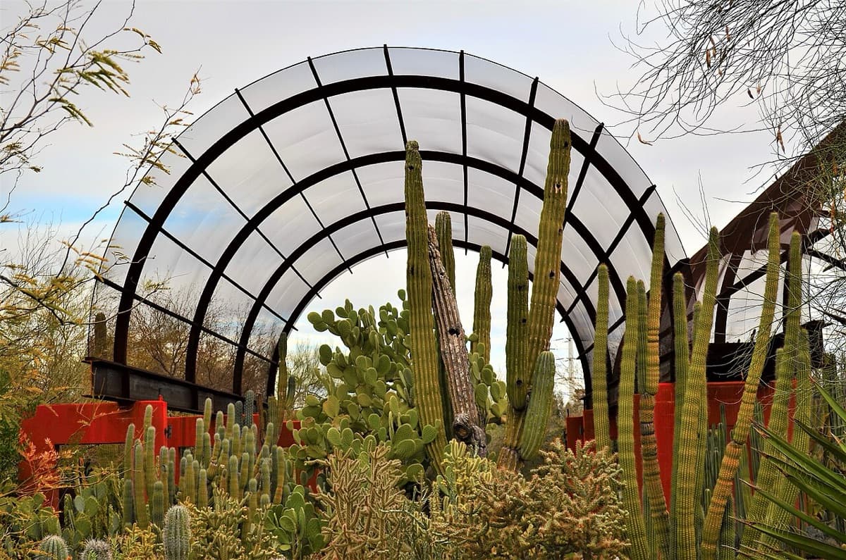 Jardín Botánico del Desierto