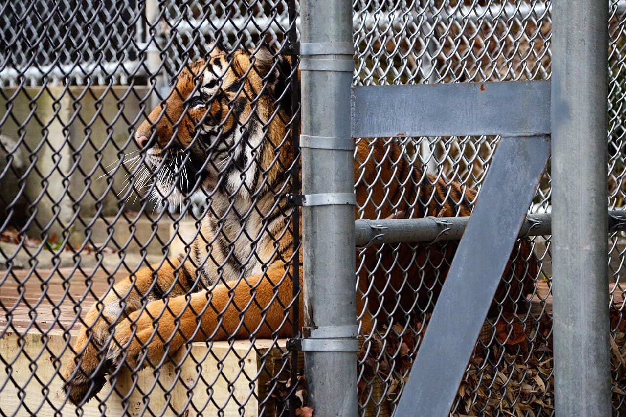 Zoo Knoxville